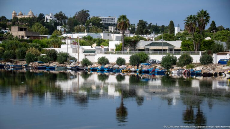 Small blue fishing boats moored along the Punic port shoreline beneath white houses, palms, and dense greenery.