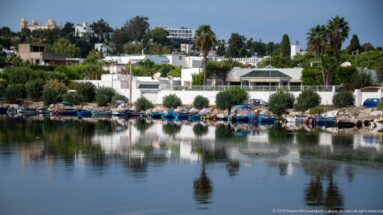 Small blue fishing boats moored along the Punic port shoreline beneath white houses, palms, and dense greenery.