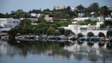 Punic port basin with fishing boats, white hillside houses, palms, and a domed landmark reflected in calm water.