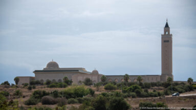 Malik ibn Anas Mosque in Carthage with tall square minaret, central dome, arcades, and landscaped foreground.