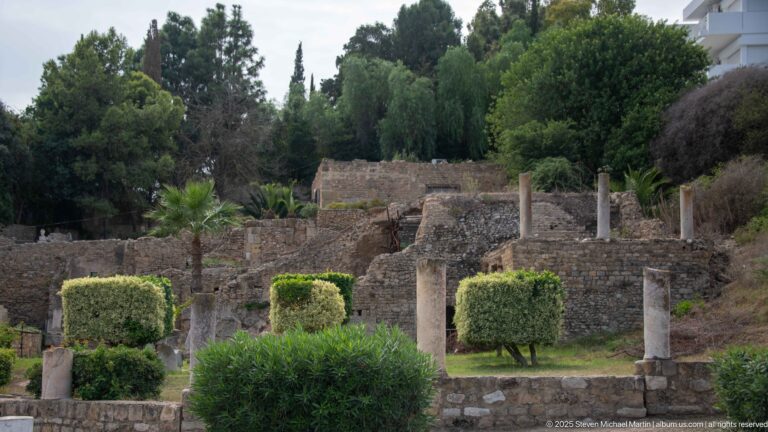 Ancient masonry walls and freestanding stone columns among trees, shrubs, and palms at Carthage.