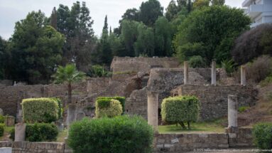 Ancient masonry walls and freestanding stone columns among trees, shrubs, and palms at Carthage.