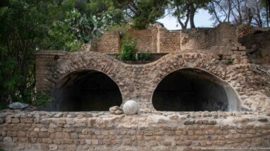 Two side-by-side barrel-vaulted openings in rough ancient masonry with ruins and trees behind.