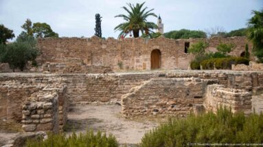Low Roman masonry walls and rooms with a standing arched doorway, palms, and cypress trees at Carthage.