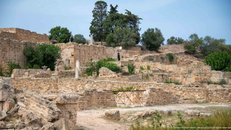 Terraced Roman masonry foundations, scattered columns, and garden vegetation across the residential ruins at Carthage.