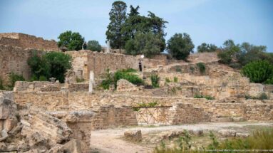 Terraced Roman masonry foundations, scattered columns, and garden vegetation across the residential ruins at Carthage.
