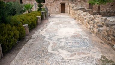 Long Roman mosaic pavement with circular medallions and geometric borders between low masonry walls at Carthage.