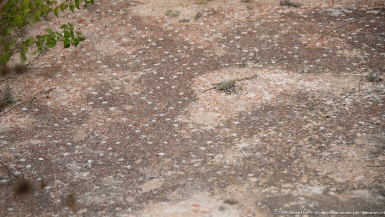 Heavily worn Roman mosaic pavement with scattered tesserae and faint reddish and pale color patches.