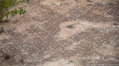 Heavily worn Roman mosaic pavement with scattered tesserae and faint reddish and pale color patches.