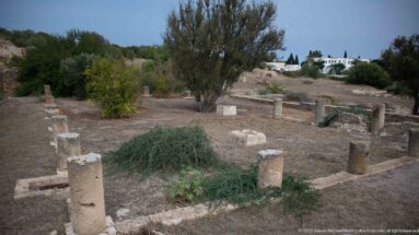 Rectangular Roman archaeological court with short columns, low walls, trees, and modern houses in the distance.