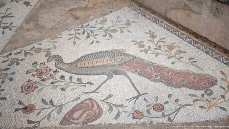 Roman mosaic of a peacock in profile among flowering vines and fruiting branches.