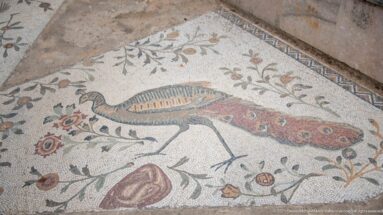 Roman mosaic of a peacock in profile among flowering vines and fruiting branches.