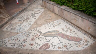 Two adjacent Roman floor mosaics with peacocks, birds, flowering vines, and fruit beside a villa courtyard.
