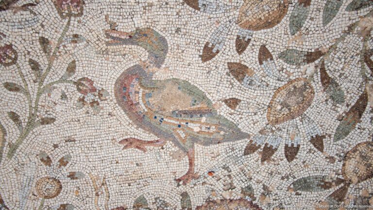 Roman mosaic of a peacock among flowers, leaves, fruit, and smaller birds.