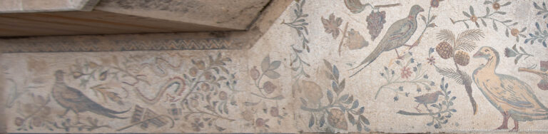 Oblique view of adjacent Roman mosaic panels with peacocks, birds, flowers, fruit, and geometric edging.