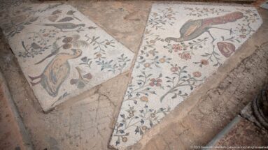 Two adjacent Roman floor mosaics with large birds, flowering vines, leaves, and fruit.