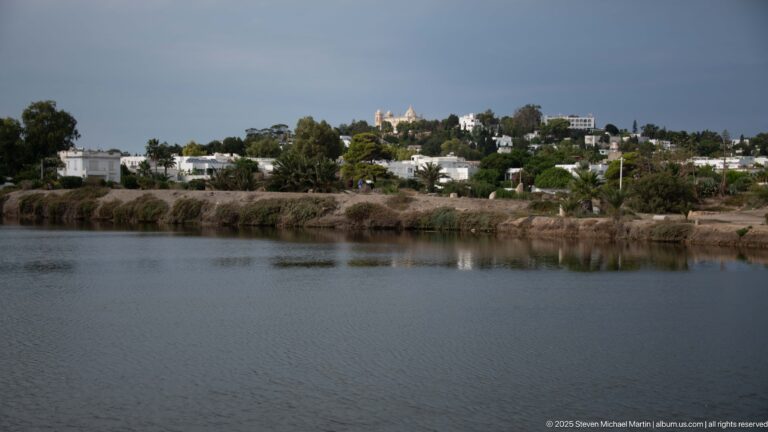 Calm Punic port basin with reeds along the shore and white modern buildings on the Carthage hillside.