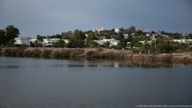 Calm Punic port basin with reeds along the shore and white modern buildings on the Carthage hillside.