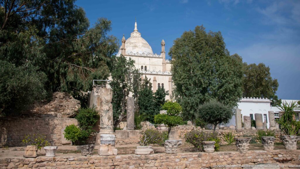 Ancient stone foundations and column fragments on Byrsa Hill with the domes and towers of Carthage L’Acropolium behind trees.