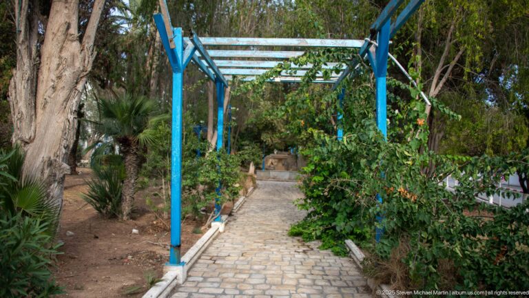 Stone garden path with steps beneath a blue-painted pergola, surrounded by trees, palms, shrubs, and climbing vegetation.