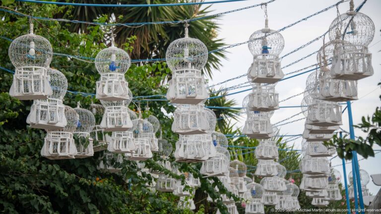 Multiple ornate white birdcage-shaped decorations hanging in rows from overhead wires against palm fronds and green trees.