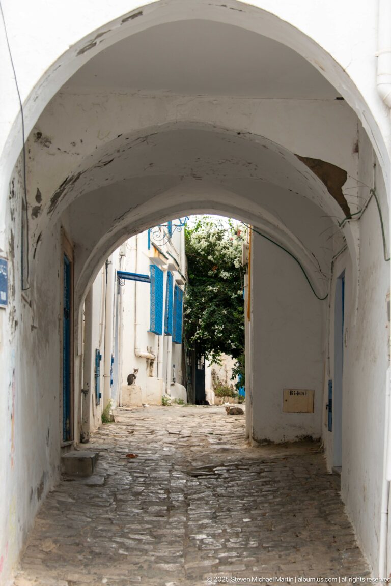 White arched passage over a cobbled lane, framing quiet white buildings with blue shutters and doors beyond.