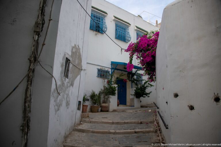 Stone steps between weathered white walls leading to a blue doorway with potted plants and bright bougainvillea.
