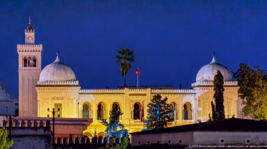 Illuminated white Tunis civic complex with domes, arcades, square tower, palm trees, and Tunisian flag at night.