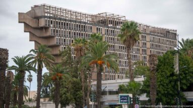 Large modern concrete-and-glass building with projecting slabs and vertical window grid behind palm trees.