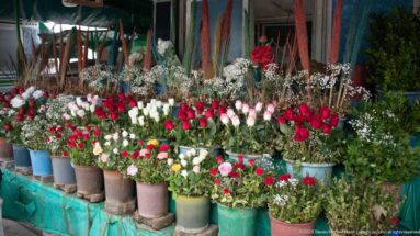 Street flower stall with buckets of red, white, and pink roses, greenery, and mixed cut flowers.