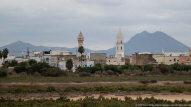 Two mosque minarets above low-rise Tunis-area buildings with palms and a steep mountain ridge in the distance.