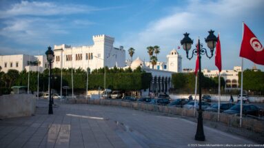 White crenellated civic building with arched windows, clock pavilion, hedges, lamps, and Tunisian flags.