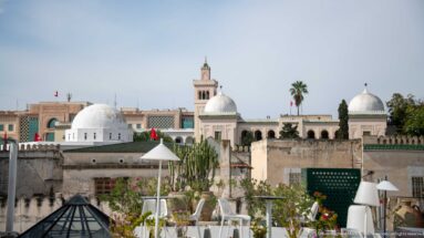 Rooftop terrace with plants overlooking white domes, a square minaret, palms, and historic Tunis buildings.