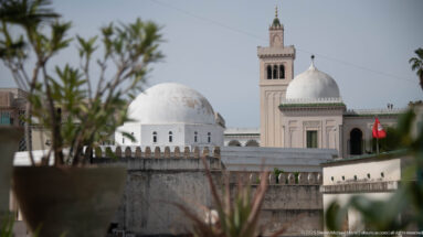 White mosque dome and square minaret with green-tiled crown seen beyond rooftop plants in the Medina of Tunis.