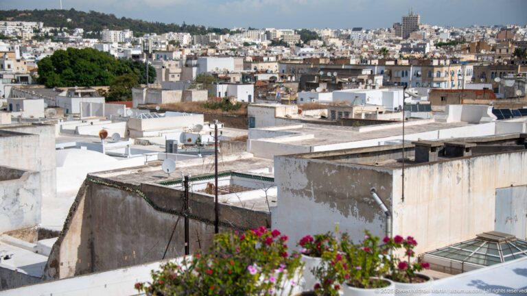 Dense weathered rooftops, satellite dishes, utility lines, and pink terrace flowers across the Medina of Tunis.