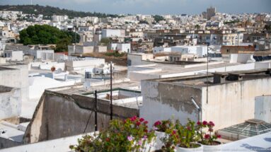 Dense weathered rooftops, satellite dishes, utility lines, and pink terrace flowers across the Medina of Tunis.