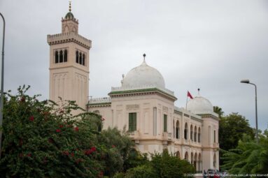 White Tunis civic complex with square tower, domed pavilions, arcaded balconies, greenery, and Tunisian flag.