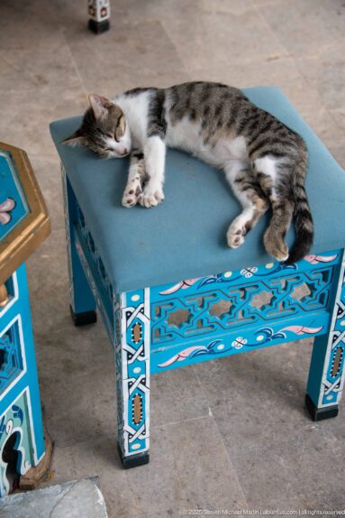 Gray-and-white cat sleeping stretched out on a turquoise bench decorated with black, white, and blue geometric motifs.