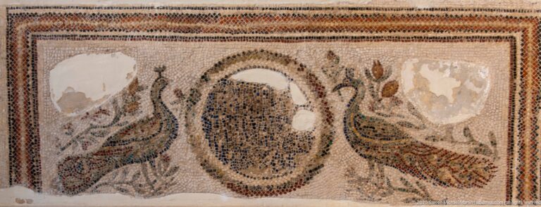 Fragmentary Roman mosaic with two peacocks flanking a central oval medallion amid leaves and floral motifs.