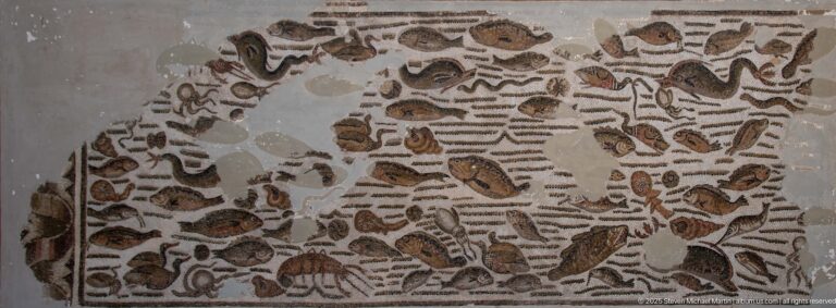 Roman mosaic fragment densely filled with varied fish and small marine creatures against horizontal water-like lines.