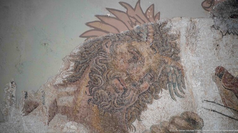 Mosaics of the Bardo Museum Tunisia