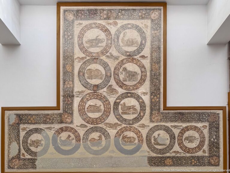 L-shaped Roman mosaic with circular medallions containing birds, fish, and other animals within braided borders.