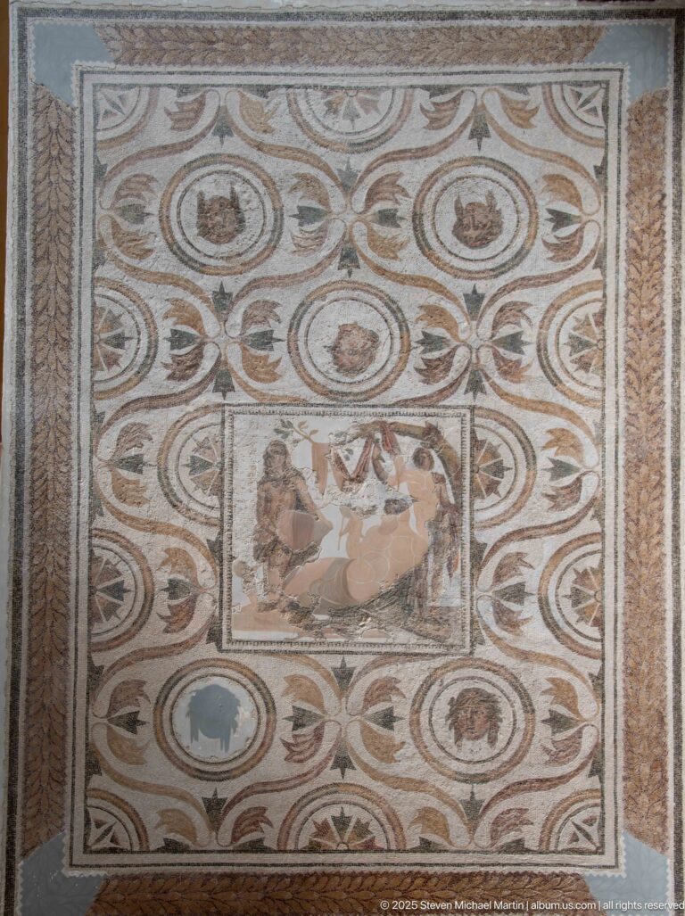 Rectangular mosaic with central figural panel surrounded by interlocking circles, leaves, roundels, and layered borders.