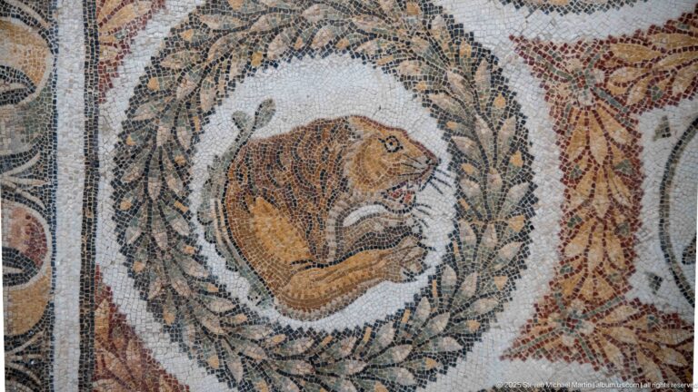 Reclining lion with raised head inside a leafy circular wreath, bordered by fragments of neighboring mosaic ornament.