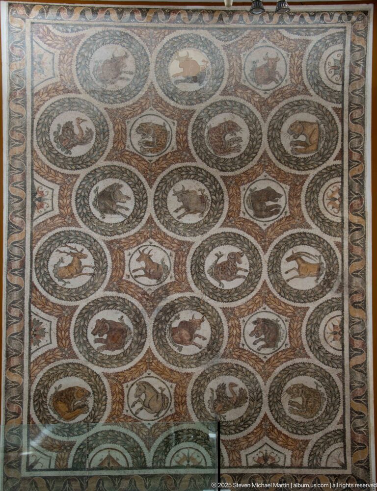 Rectangular Roman mosaic with rows of circular animal medallions framed by geometric borders.