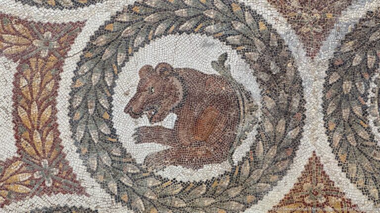 Seated brown bear inside a circular leafy wreath with fragments of red and green ornament at the edges.