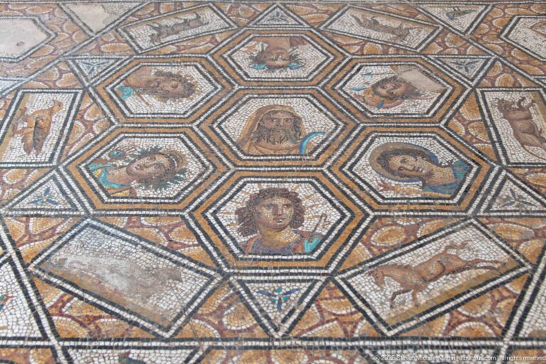 Close view of polygonal Roman mosaic compartments containing individualized portrait heads, animals, and small figural scenes.