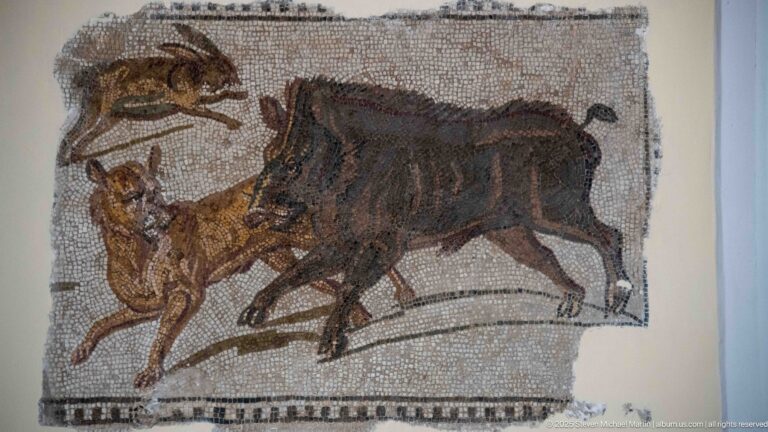 Large wild boar charging toward a fallen or crouching hunter in a fragmentary Roman hunting mosaic.