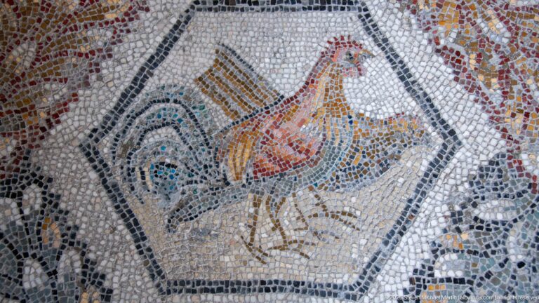 Rooster-like bird with red crest and curved tail inside a polygonal Roman mosaic compartment.