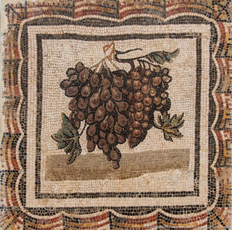Large bunch of grapes with leaves and curling tendrils centered in a framed Roman mosaic panel.